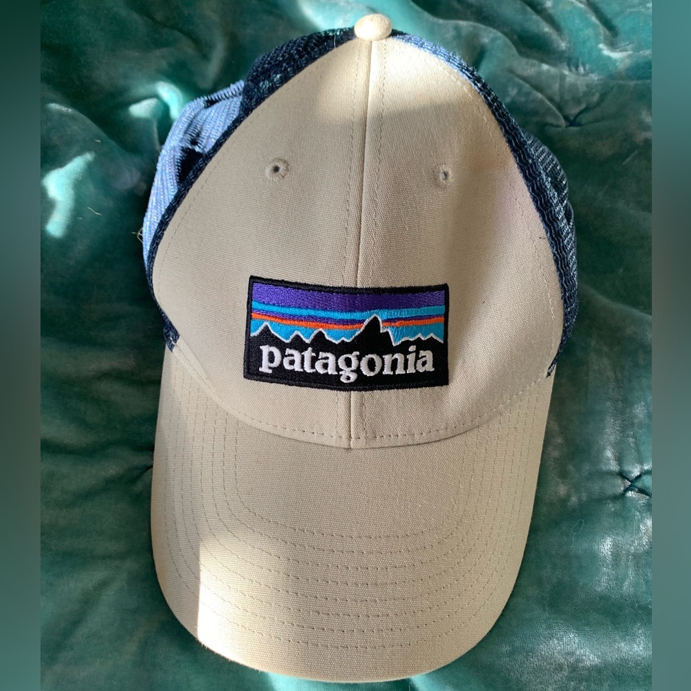 Patagonia Trucker Hat Blue & White
